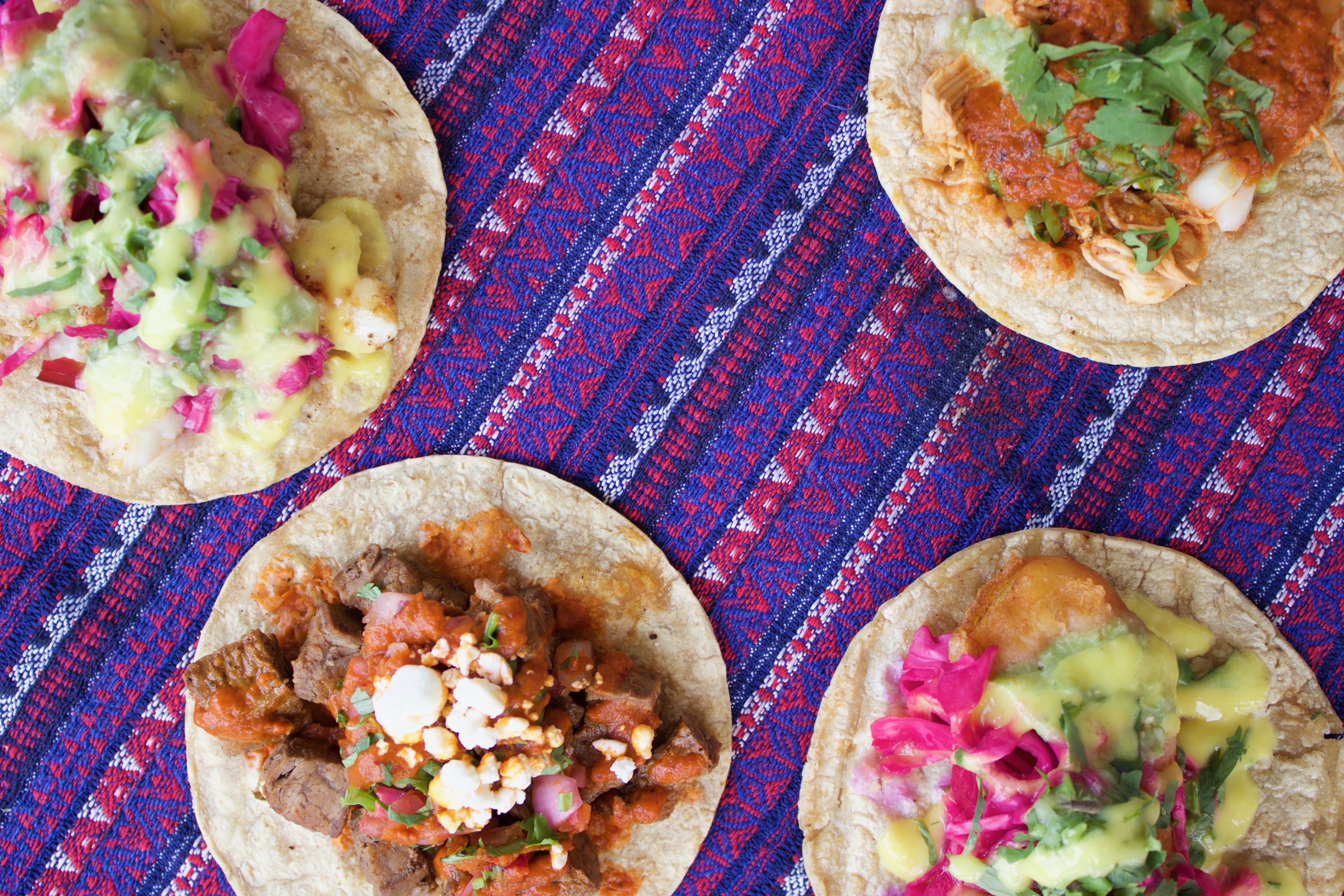 Four types of taco dish
